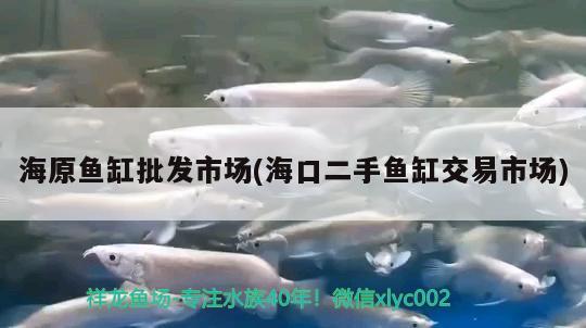 海原鱼缸批发市场(海口二手鱼缸交易市场)