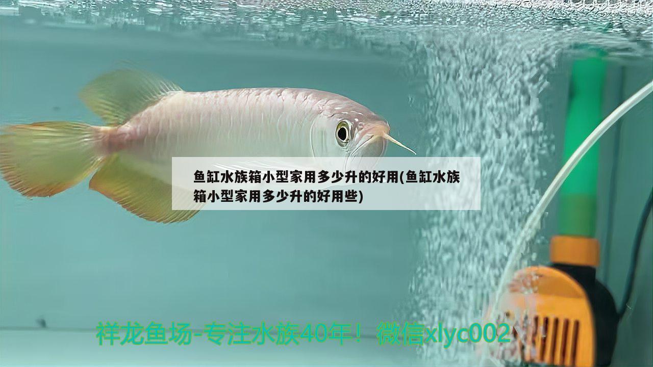 鱼缸水族箱小型家用多少升的好用(鱼缸水族箱小型家用多少升的好用些)