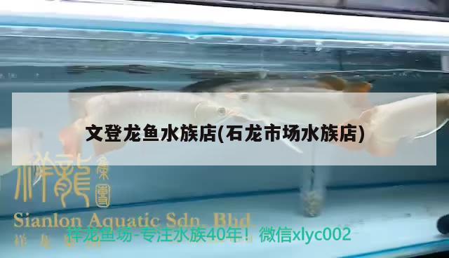 文登龙鱼水族店(石龙市场水族店) 粗线银版鱼