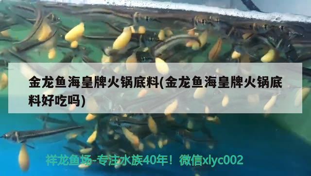 金龙鱼海皇牌火锅底料(金龙鱼海皇牌火锅底料好吃吗)