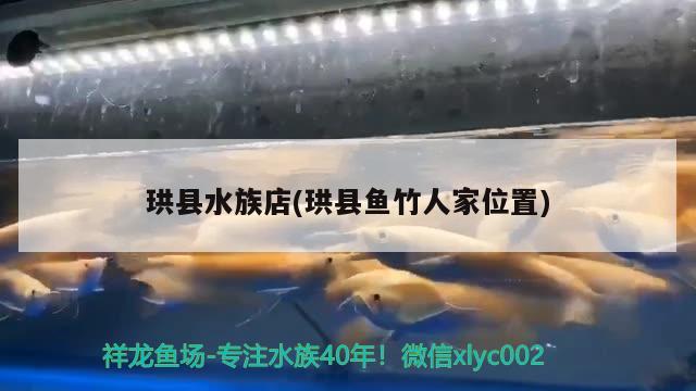 珙县水族店(珙县鱼竹人家位置)