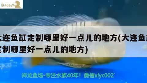 大连鱼缸定制哪里好一点儿的地方(大连鱼缸定制哪里好一点儿的地方) 观赏龟/鳖饲料