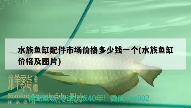 水族鱼缸配件市场价格多少钱一个(水族鱼缸价格及图片) 鱼缸风水