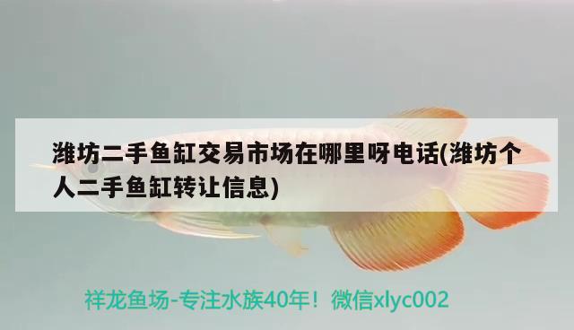 潍坊二手鱼缸交易市场在哪里呀电话(潍坊个人二手鱼缸转让信息) 印尼四纹虎