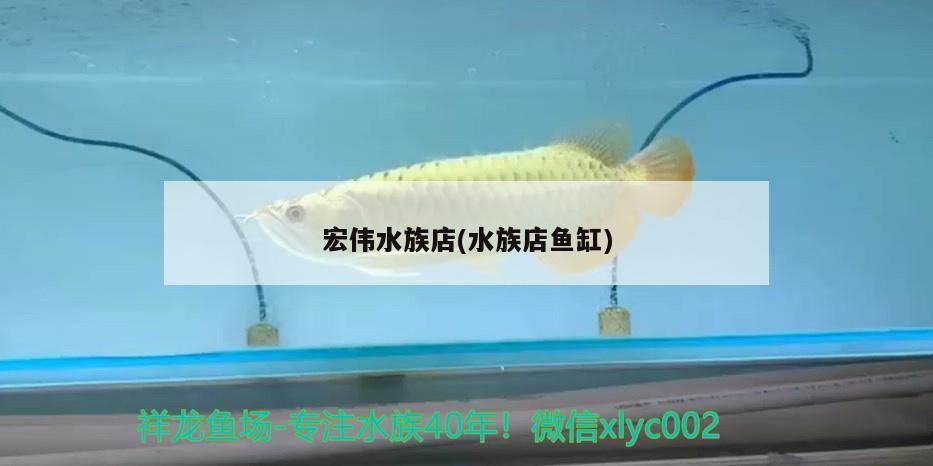 宏伟水族店(水族店鱼缸) 鱼缸风水