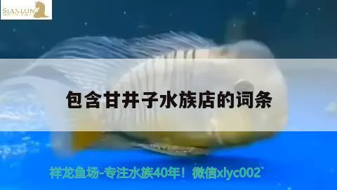 包含甘井子水族店的词条