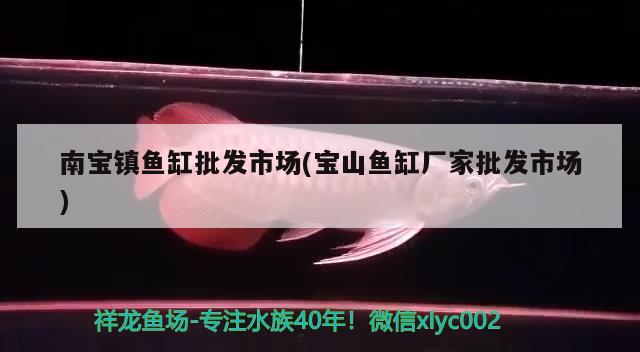 南宝镇鱼缸批发市场(宝山鱼缸厂家批发市场) 鱼缸风水