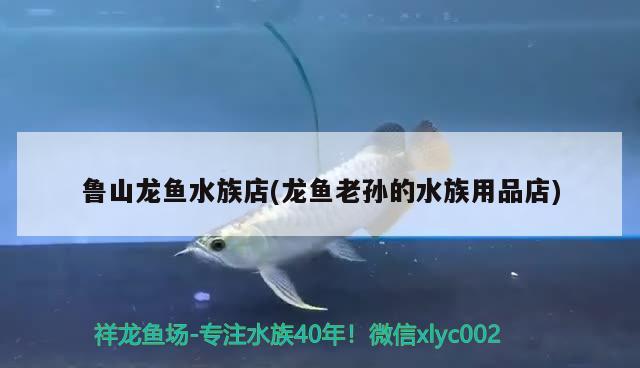 鲁山龙鱼水族店(龙鱼老孙的水族用品店) 水族用品