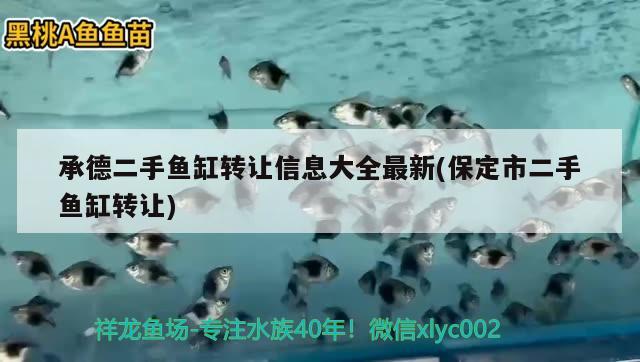 承德二手鱼缸转让信息大全最新(保定市二手鱼缸转让) 红龙专用鱼粮饲料