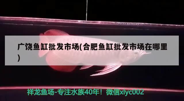 广饶鱼缸批发市场(合肥鱼缸批发市场在哪里) 鱼缸风水