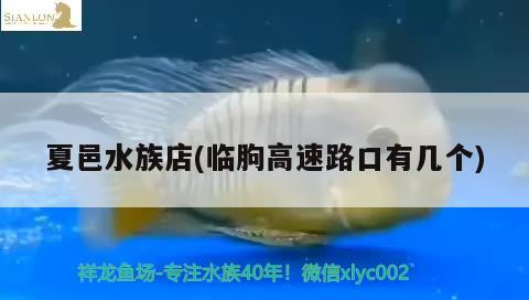 夏邑水族店(临朐高速路口有几个) 照明器材