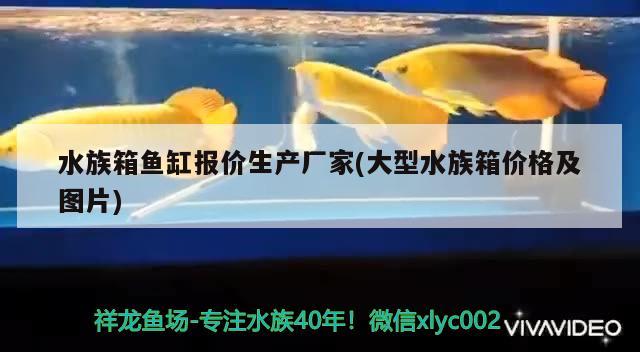 水族箱鱼缸报价生产厂家(大型水族箱价格及图片) 鱼缸/水族箱