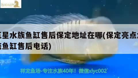 五星水族鱼缸售后保定地址在哪(保定亮点水族鱼缸售后电话)