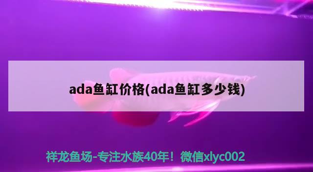 ada鱼缸价格(ada鱼缸多少钱)