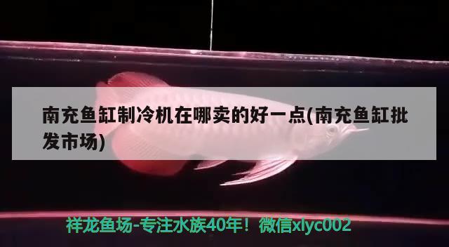 南充鱼缸制冷机在哪卖的好一点(南充鱼缸批发市场) 观赏龟/鳖饲料