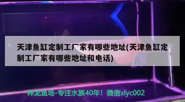 天津鱼缸定制工厂家有哪些地址(天津鱼缸定制工厂家有哪些地址和电话) 暹罗巨鲤