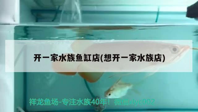 开一家水族鱼缸店(想开一家水族店) 鱼缸风水