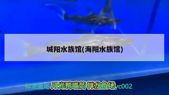 城阳水族馆(海阳水族馆) 其它水族用具设备