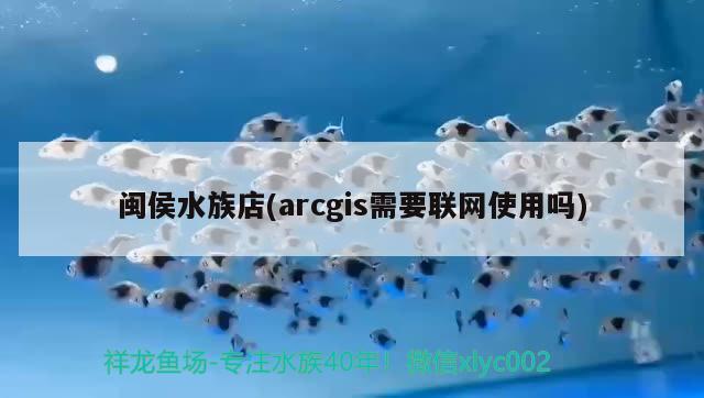 闽侯水族店(arcgis需要联网使用吗) 印尼虎苗