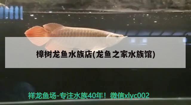 樟树龙鱼水族店(龙鱼之家水族馆)