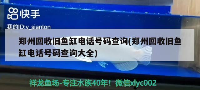 郑州回收旧鱼缸电话号码查询(郑州回收旧鱼缸电话号码查询大全) 粗线银版鱼苗