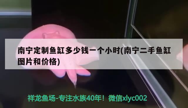 南宁定制鱼缸多少钱一个小时(南宁二手鱼缸图片和价格) 非洲金鼓鱼