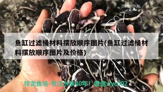 鱼缸过滤桶材料摆放顺序图片(鱼缸过滤桶材料摆放顺序图片及价格) 黄金鸭嘴鱼