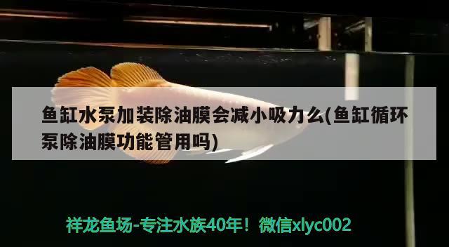 鱼缸水泵加装除油膜会减小吸力么(鱼缸循环泵除油膜功能管用吗) 鱼缸水泵