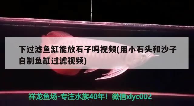 下过滤鱼缸能放石子吗视频(用小石头和沙子自制鱼缸过滤视频) 广州龙鱼批发市场