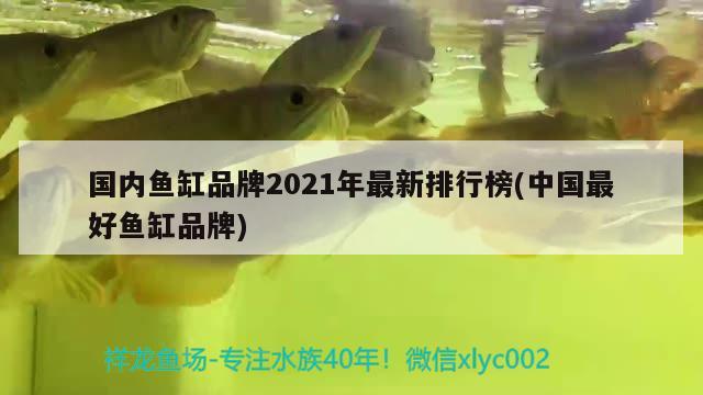 国内鱼缸品牌2021年最新排行榜(中国最好鱼缸品牌) 鱼缸风水