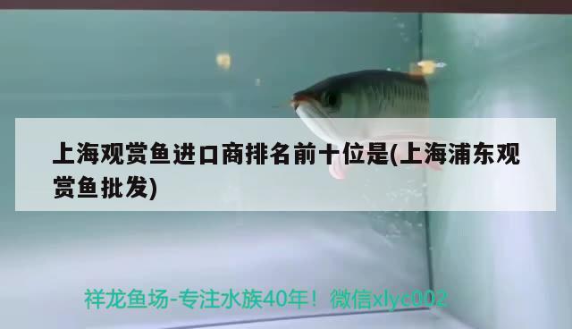 上海观赏鱼进口商排名前十位是(上海浦东观赏鱼批发) 观赏鱼进出口