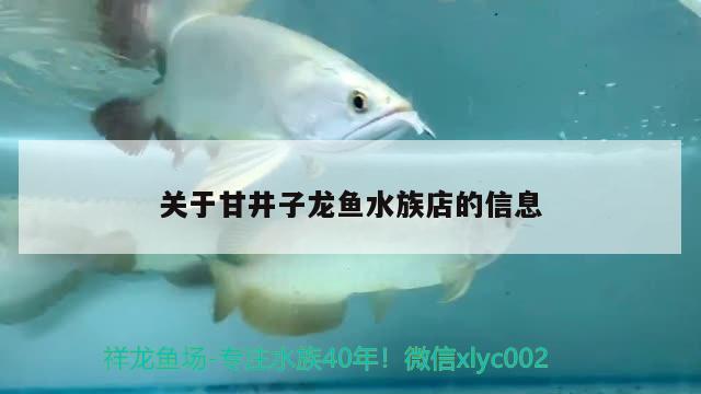 关于甘井子龙鱼水族店的信息