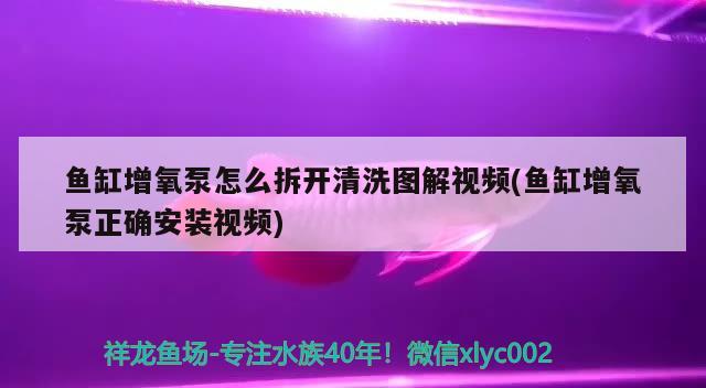 鱼缸增氧泵怎么拆开清洗图解视频(鱼缸增氧泵正确安装视频) 鱼缸风水 第2张