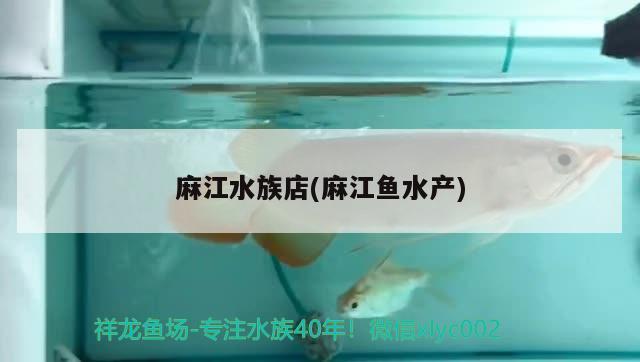 麻江水族店(麻江鱼水产)