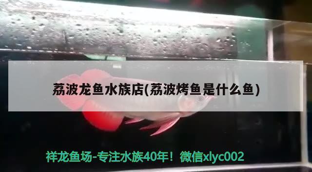 荔波龙鱼水族店(荔波烤鱼是什么鱼) 南美异形观赏鱼