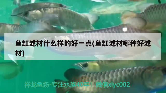 鱼缸滤材什么样的好一点(鱼缸滤材哪种好滤材) 鱼缸风水