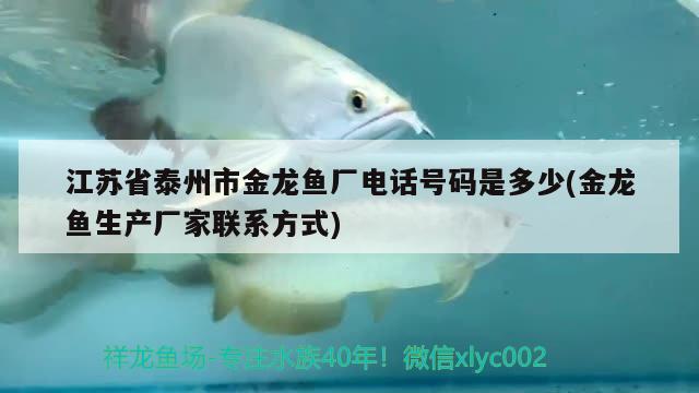 江苏省泰州市金龙鱼厂电话号码是多少(金龙鱼生产厂家联系方式) 大日玉鲭鱼