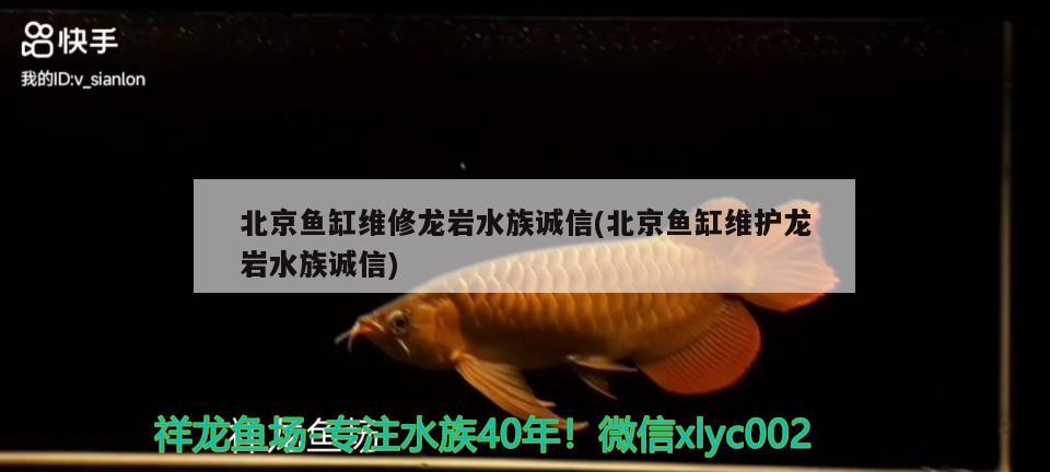 北京鱼缸维修龙岩水族诚信(北京鱼缸维护龙岩水族诚信) 生态瓶/创意缸/桌面微景缸