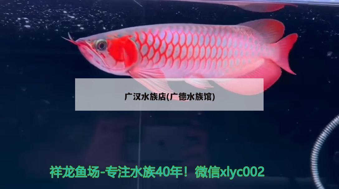 广汉水族店(广德水族馆) 观赏鱼进出口