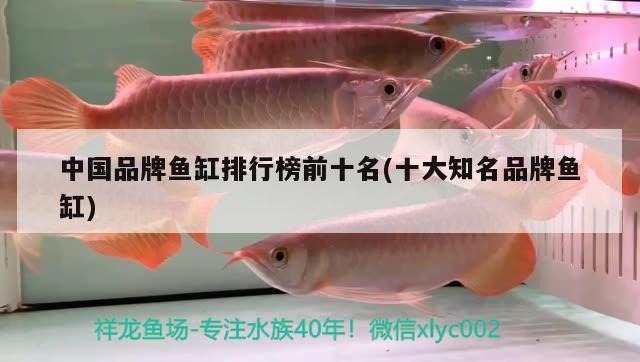 中国品牌鱼缸排行榜前十名(十大知名品牌鱼缸) 鱼缸风水