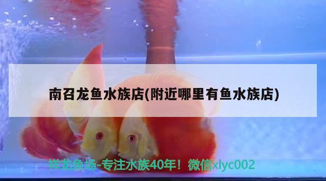 南召龙鱼水族店(附近哪里有鱼水族店) 水族用品