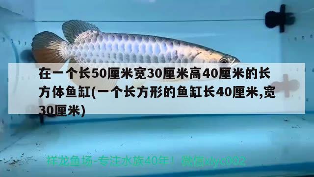 在一个长50厘米宽30厘米高40厘米的长方体鱼缸(一个长方形的鱼缸长40厘米,宽30厘米) 水族杂谈