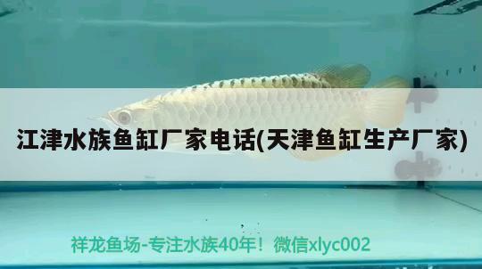 江津水族鱼缸厂家电话(天津鱼缸生产厂家) 南美异型鱼