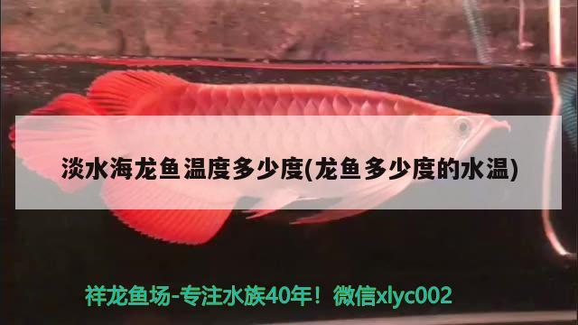 淡水海龙鱼温度多少度(龙鱼多少度的水温) 野生埃及神仙鱼