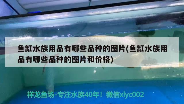 鱼缸水族用品有哪些品种的图片(鱼缸水族用品有哪些品种的图片和价格) 水族用品