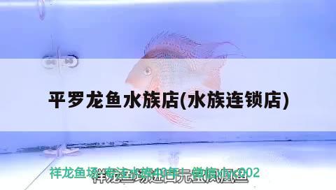 平罗龙鱼水族店(水族连锁店) 观赏虾蟹等饲料