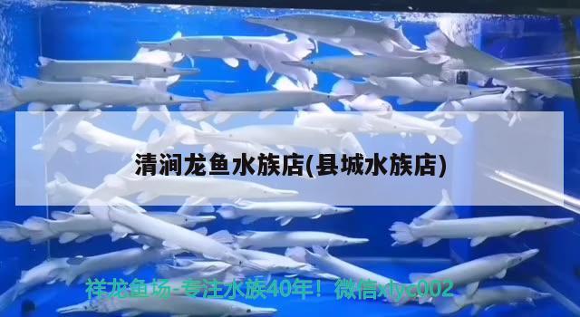 清涧龙鱼水族店(县城水族店) 虎纹银版鱼