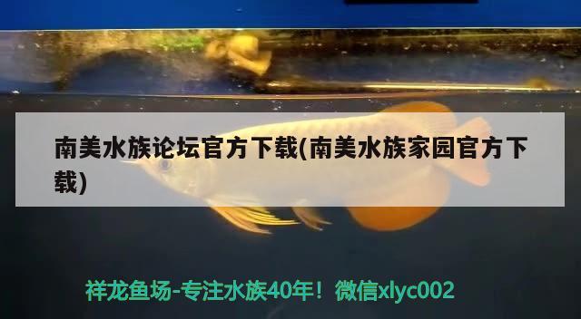 南美水族论坛官方下载(南美水族家园官方下载)