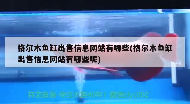 格尔木鱼缸出售信息网站有哪些(格尔木鱼缸出售信息网站有哪些呢) 虎纹银版鱼