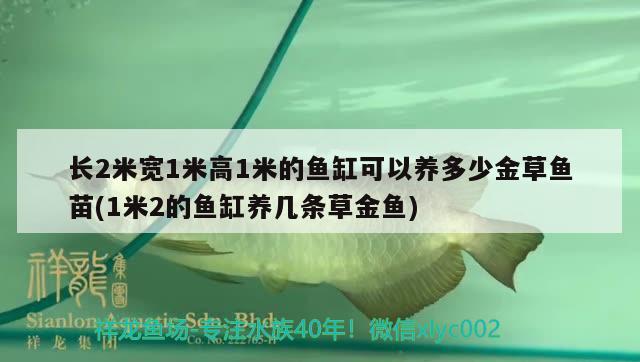 长2米宽1米高1米的鱼缸可以养多少金草鱼苗(1米2的鱼缸养几条草金鱼)